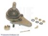 BLUE PRINT ADT38603 Ball Joint